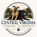 Central Virginia Dog Lodge Boarding Options